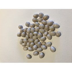 Haricot naim Rugally Haricot naim Rugally