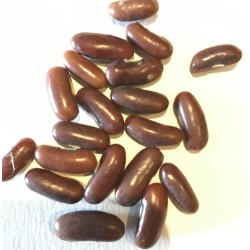 Haricot à déterminer grain blanc